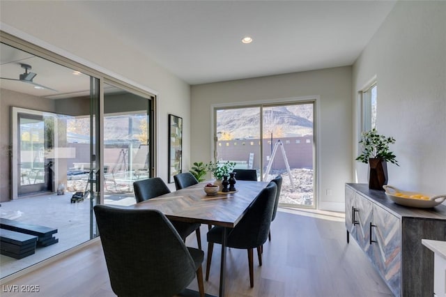 dining space featuring light hardwood / wood-style flooring and plenty of natural light