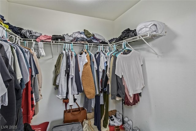 view of spacious closet