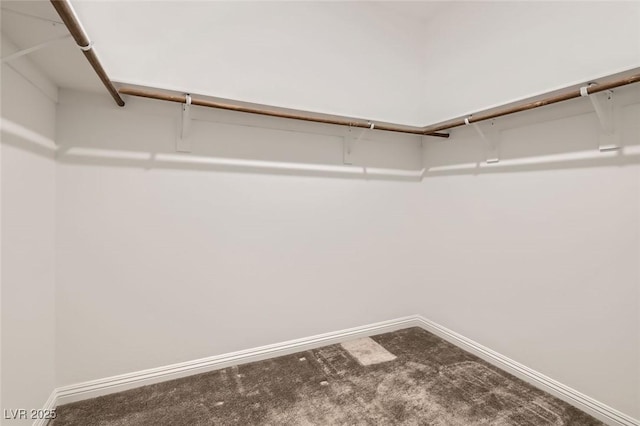 spacious closet with carpet floors