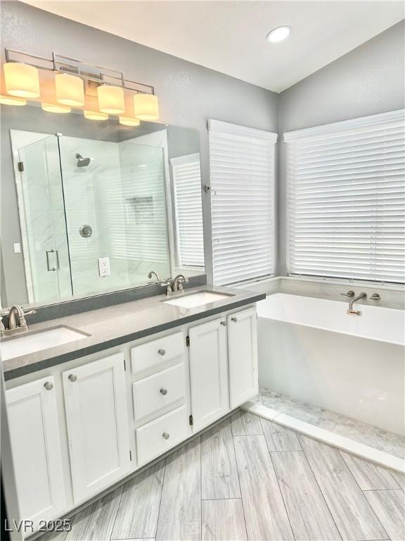 bathroom with vanity and independent shower and bath