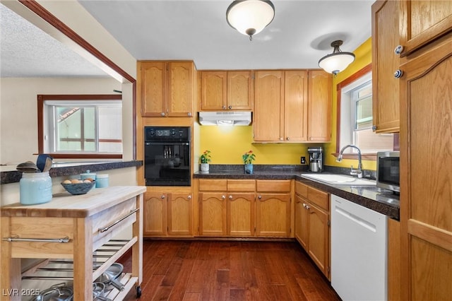 kitchen featuring dishwasher, dark hardwood / wood-style flooring, oven, and sink