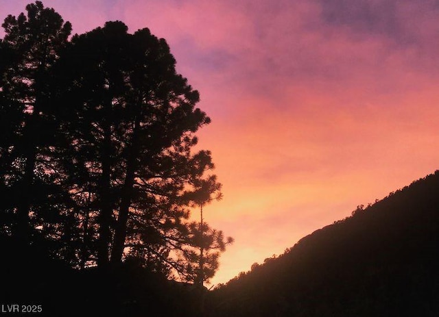 view of nature at dusk