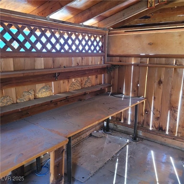 basement with wooden walls