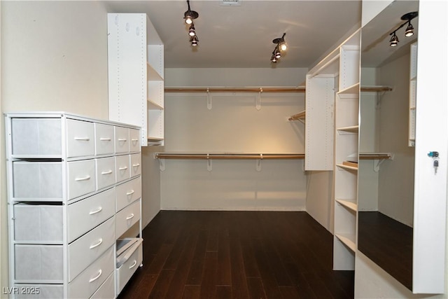 spacious closet featuring dark hardwood / wood-style flooring