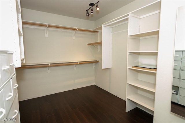 walk in closet featuring dark hardwood / wood-style flooring