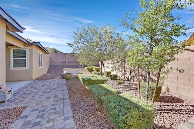 view of yard featuring a patio area