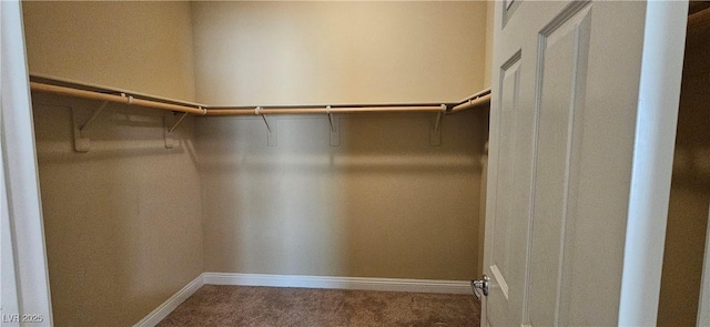 walk in closet with carpet flooring