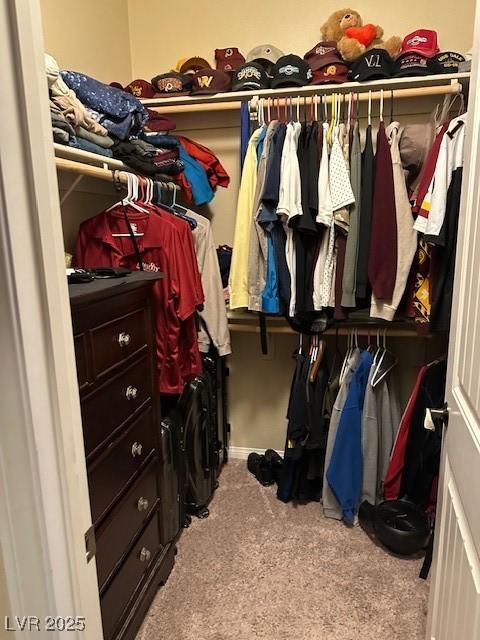 spacious closet with light colored carpet