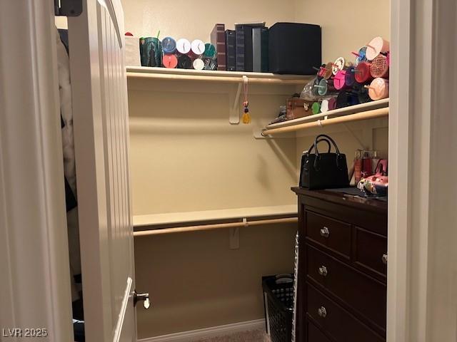 view of walk in closet