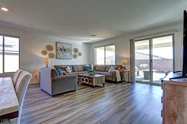 living room featuring hardwood / wood-style flooring