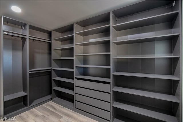 walk in closet with light wood-type flooring