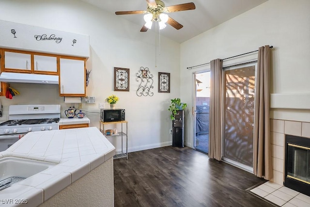2594 Florida Keys Dr, Las Vegas, NV 89156 - photo 8