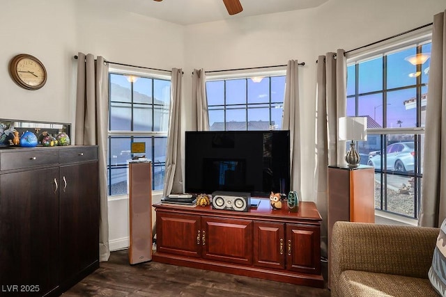 living room featuring ceiling fan and dark wood-type flooring