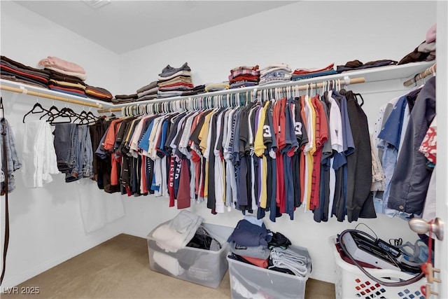 walk in closet featuring carpet flooring