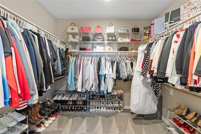 spacious closet with carpet floors