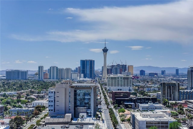 property's view of city featuring a mountain view