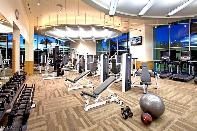 workout area with carpet floors