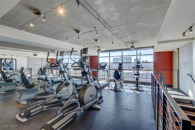 workout area with ceiling fan and a wall of windows