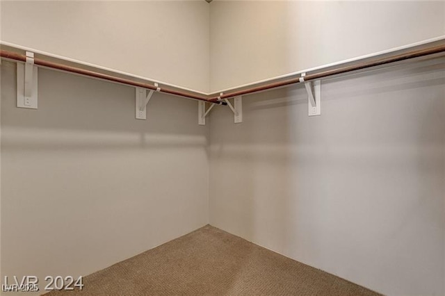 spacious closet featuring carpet floors