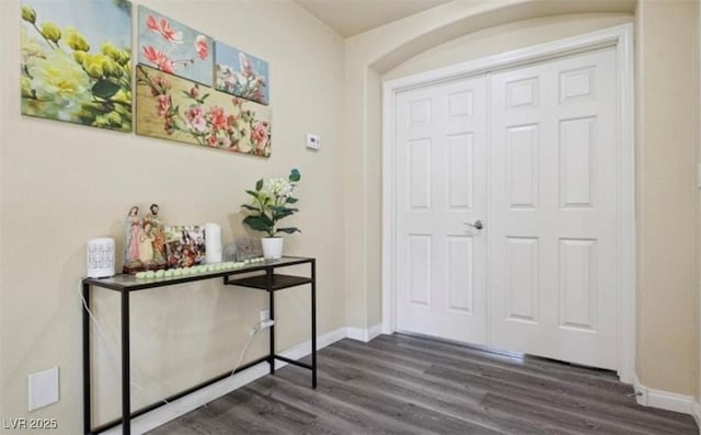 foyer featuring dark wood-type flooring