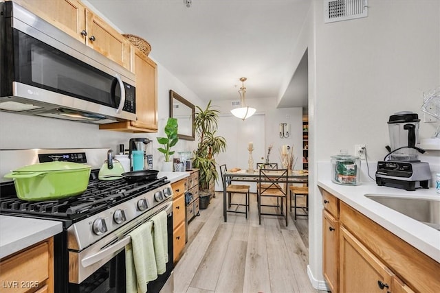 kitchen with light wood-type flooring, stainless steel appliances, and hanging light fixtures