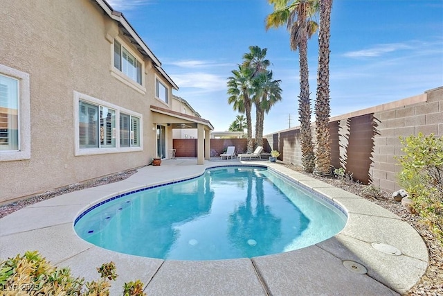 view of swimming pool with a patio area