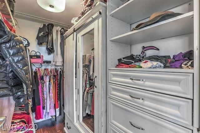 view of walk in closet