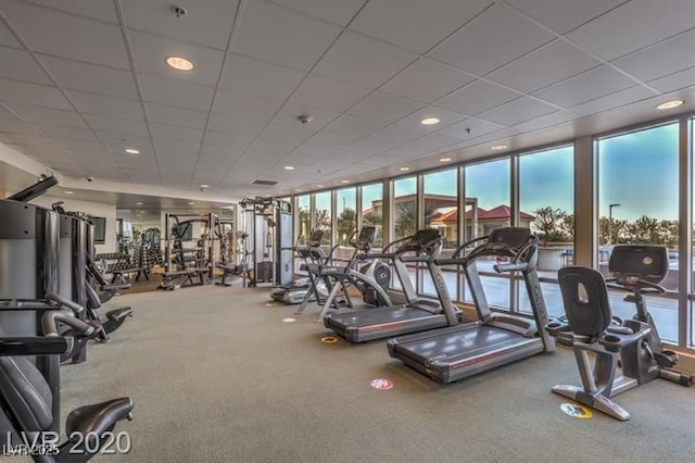 gym featuring carpet, a wall of windows, and plenty of natural light