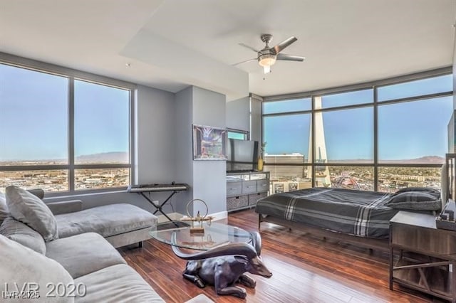 living room featuring ceiling fan and hardwood / wood-style floors