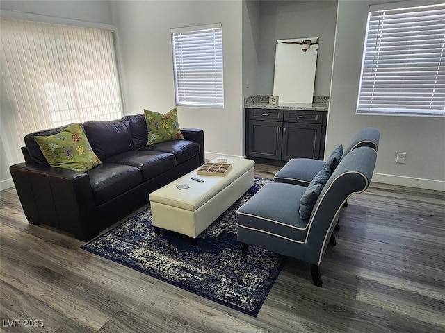 living room featuring dark wood-type flooring