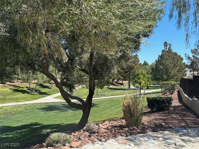 view of property's community with a yard