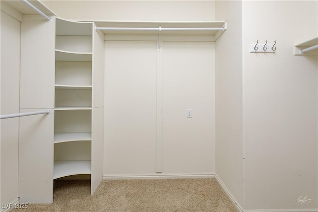 206 Pebble Creek Hts, Mesquite, NV 89027 - walk in closet featuring carpet flooring