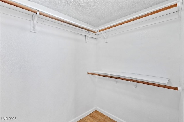 spacious closet featuring wood-type flooring