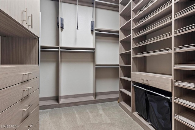 spacious closet featuring light carpet