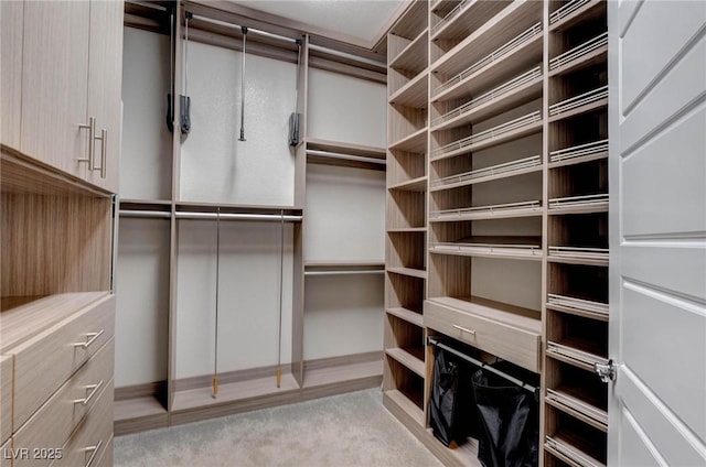 walk in closet with light colored carpet