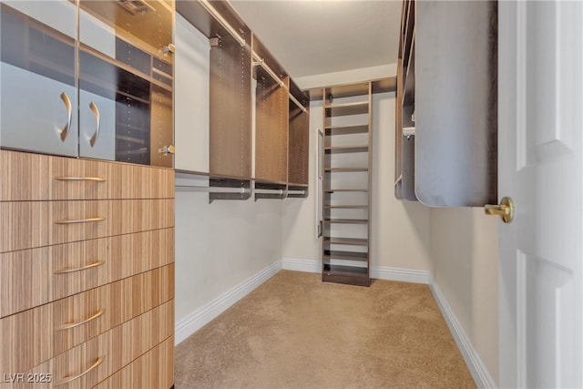 walk in closet with carpet