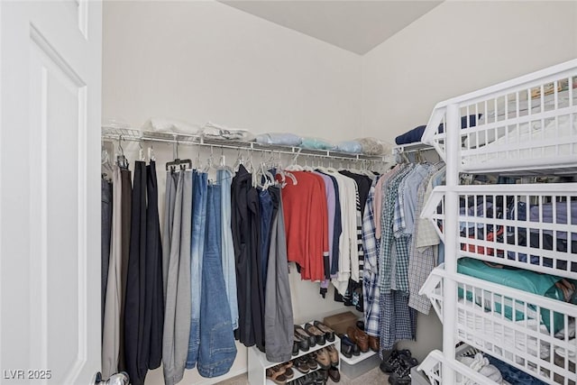 spacious closet featuring carpet