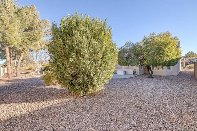 view of yard featuring a patio