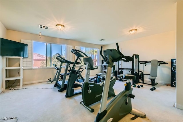 exercise area with carpet flooring