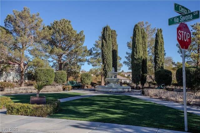 view of community with a yard