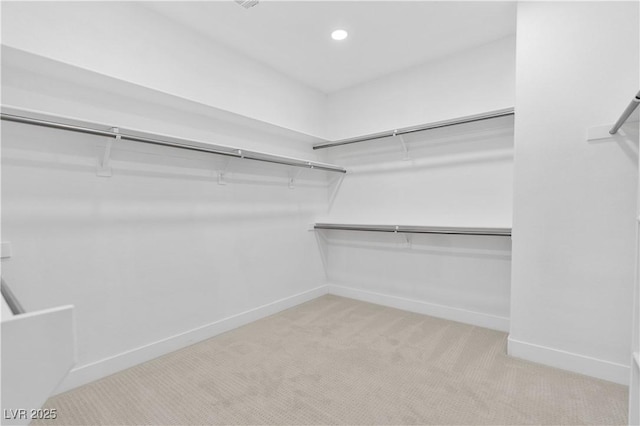 spacious closet with light carpet