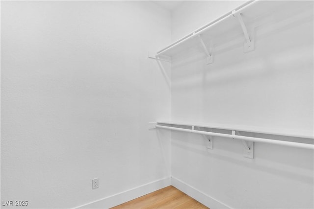 spacious closet with hardwood / wood-style flooring