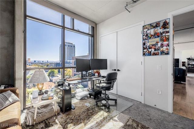 office featuring carpet flooring, a wealth of natural light, and floor to ceiling windows