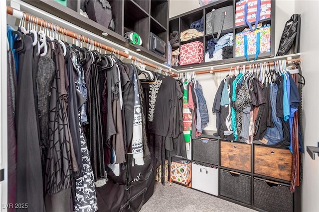 spacious closet with carpet floors