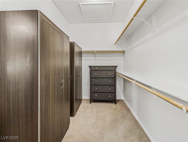 spacious closet featuring light colored carpet