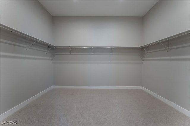 spacious closet featuring carpet