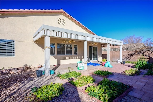 back of property with stucco siding, ceiling fan, a patio, and fence