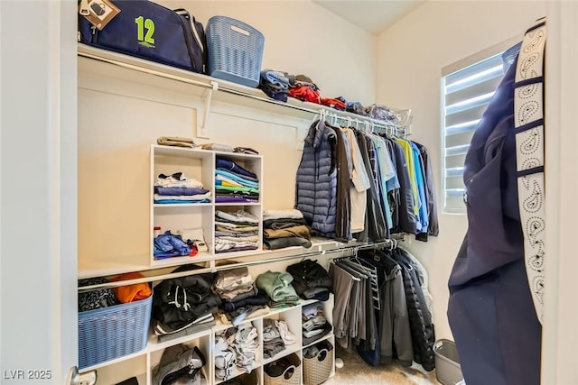 spacious closet featuring carpet