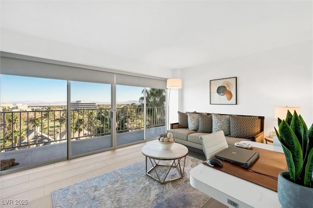 living room with hardwood / wood-style floors