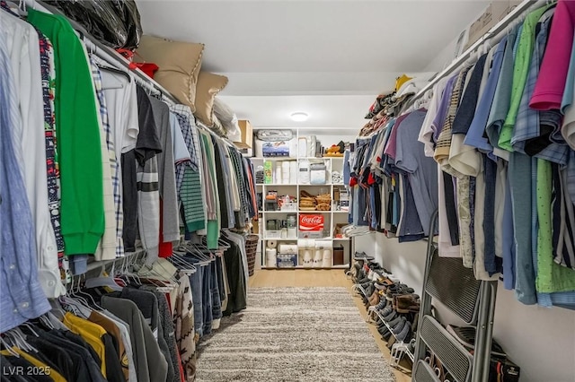 view of spacious closet